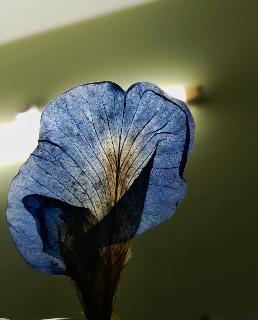 My Very First Upload >⁠.⁠