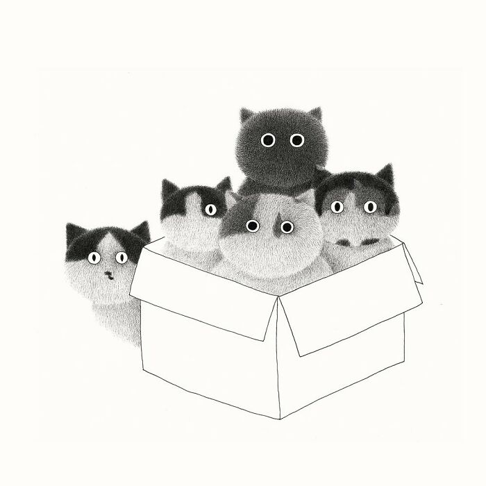 Kamwei Fong's Cute Cats (New Pics)
