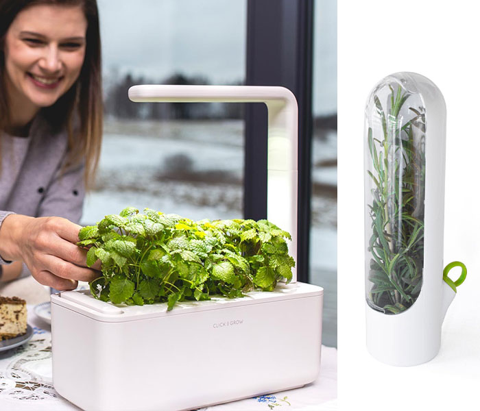 Forecast: 100% Chance Of Growth! Gear Up With ClickAndGrow.com To Create The Indoor Garden Plot Twist Of Your Dreams—where The Only Bugs Are The Ones In Your Software.
