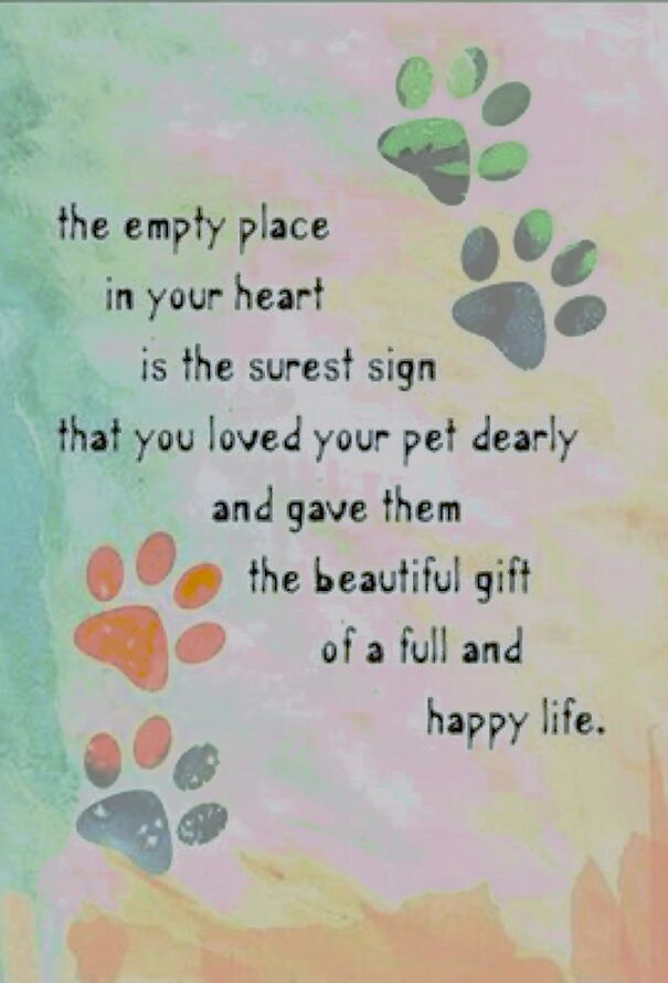 Pet-Sympathy-Quotes-65ab26e30e0eb.jpg