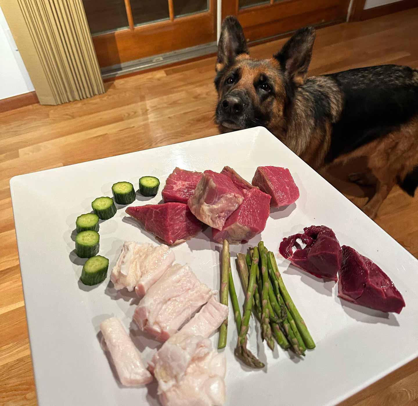 Dog is looking at a plate with raw meat
