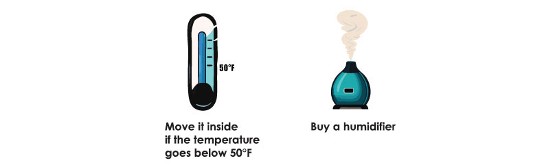 Illustration of thermometer and humidifier.
