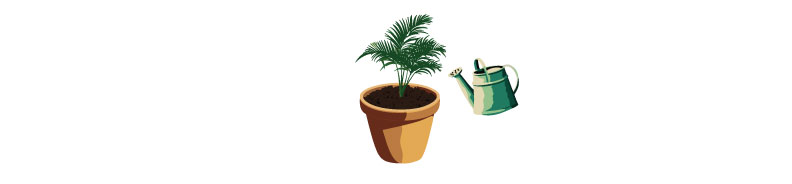 Illustration of sago palm and watering can.