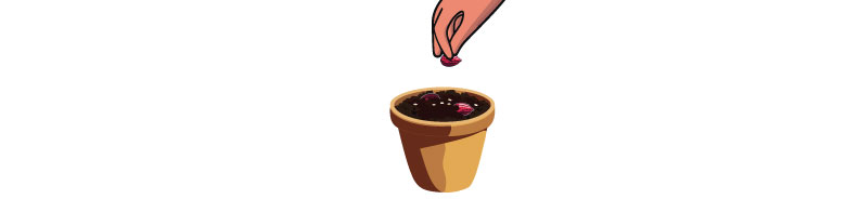 Illustration of human hand seeding seeds in the pot.