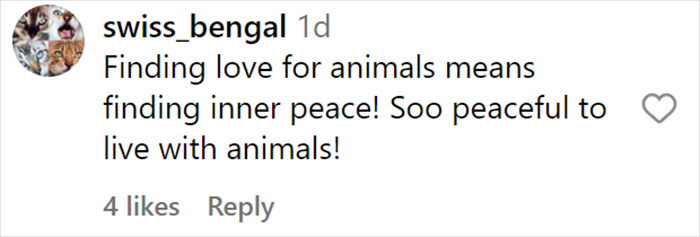 From Lulu The Donkey To Schnelly The Pig: Meet Arnold Schwarzenegger’s Pet Paradise From Lulu The Donkey To Schnelly The Pig: Meet Arnold Schwarzenegger’s Pet Paradise