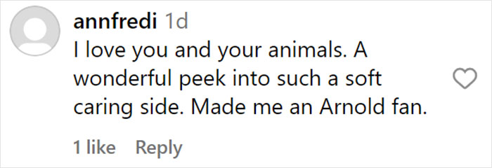 From Lulu The Donkey To Schnelly The Pig: Meet Arnold Schwarzenegger’s Pet Paradise From Lulu The Donkey To Schnelly The Pig: Meet Arnold Schwarzenegger’s Pet Paradise