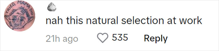 “Please Don’t Eat Them”: South Korea Food Ministry Urges People To Stop Frying Toothpicks “Please Don’t Eat Them”: South Korea Food Ministry Urges People To Stop Frying Toothpicks