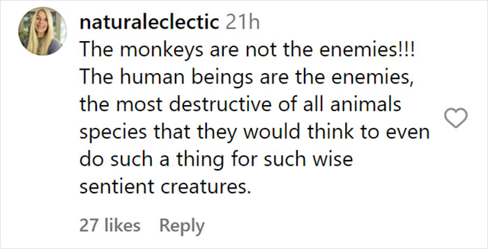“What If One Gets Out?“: Residents Of Georgia Town Rally Against Farm To House 30,000 Monkeys “What If One Gets Out?“: Residents Of Georgia Town Rally Against Farm To House 30,000 Monkeys