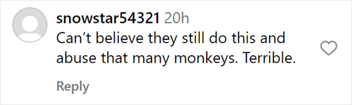 “What If One Gets Out?“: Residents Of Georgia Town Rally Against Farm To House 30,000 Monkeys “What If One Gets Out?“: Residents Of Georgia Town Rally Against Farm To House 30,000 Monkeys