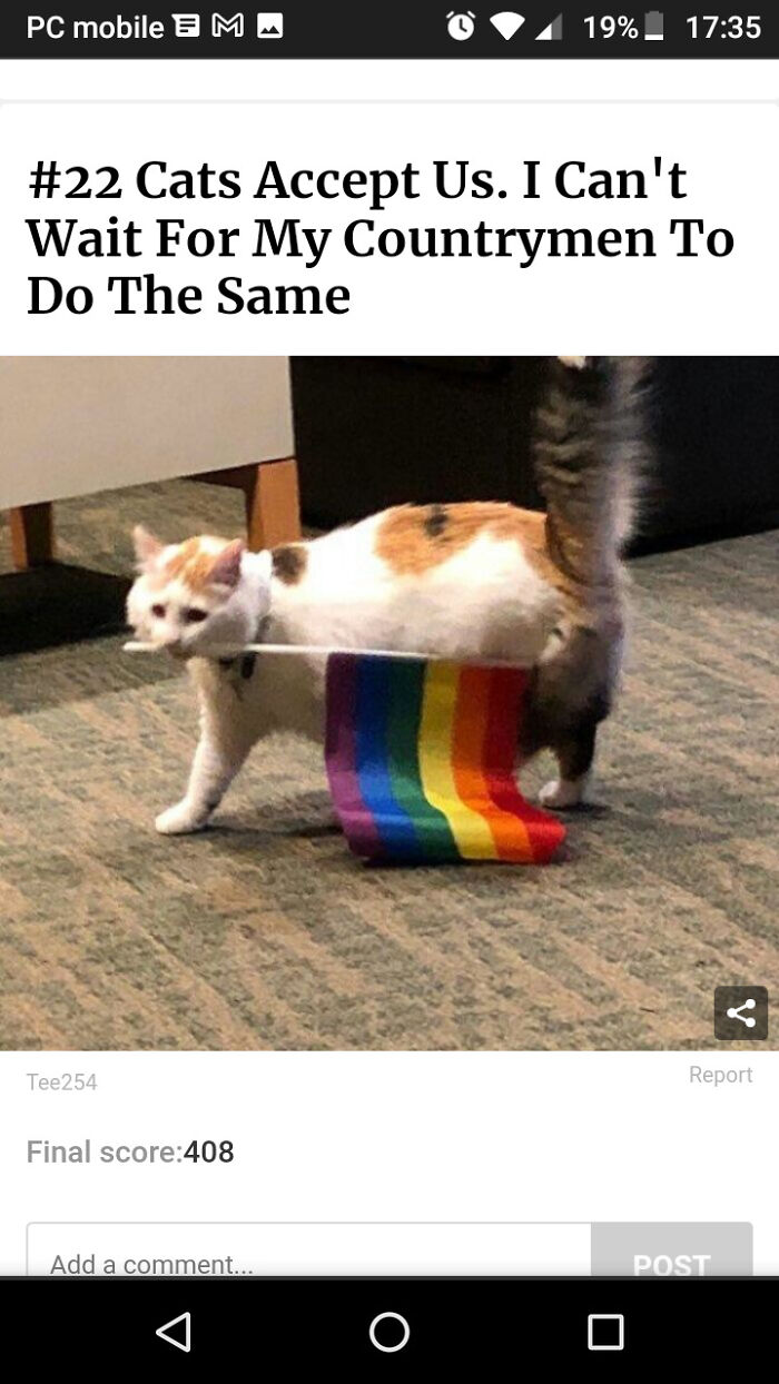 🏳️‍🌈🐈