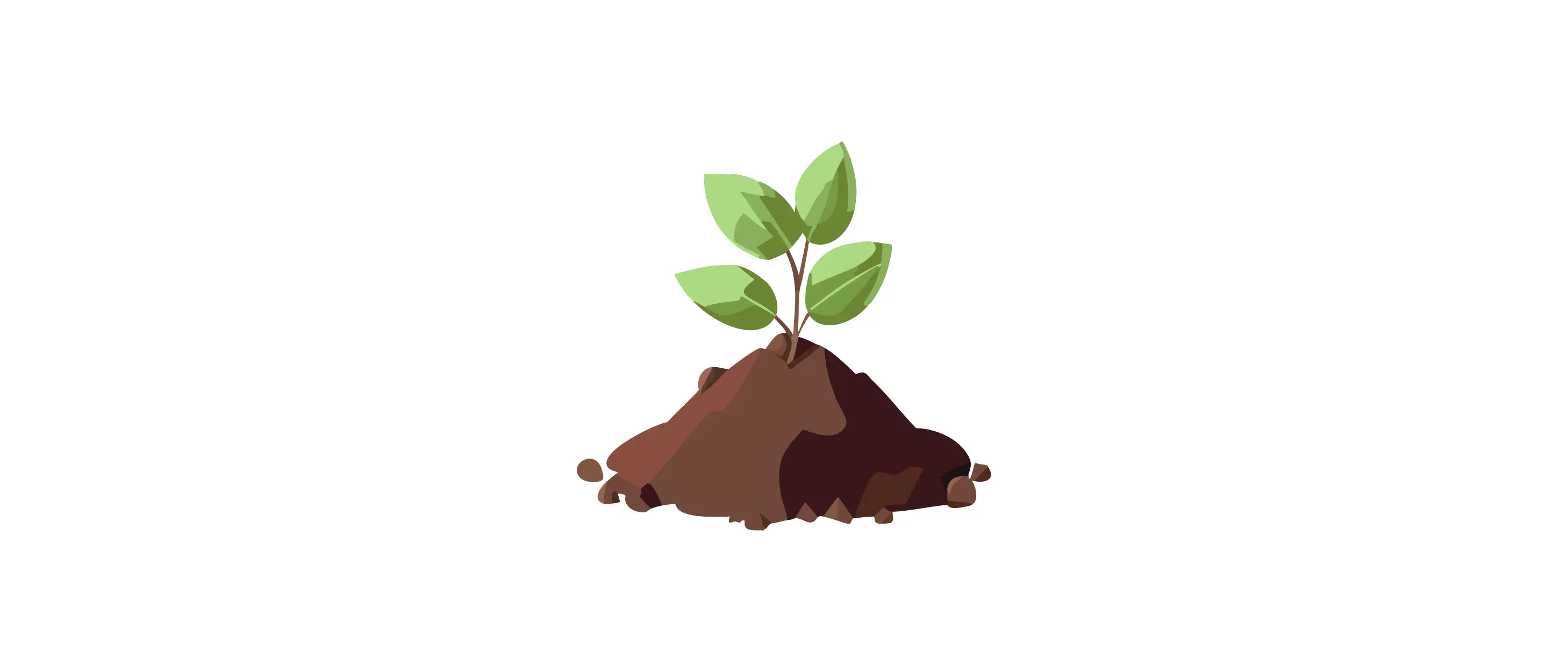Soil for a Vanilla Strawberry Hydrangea
