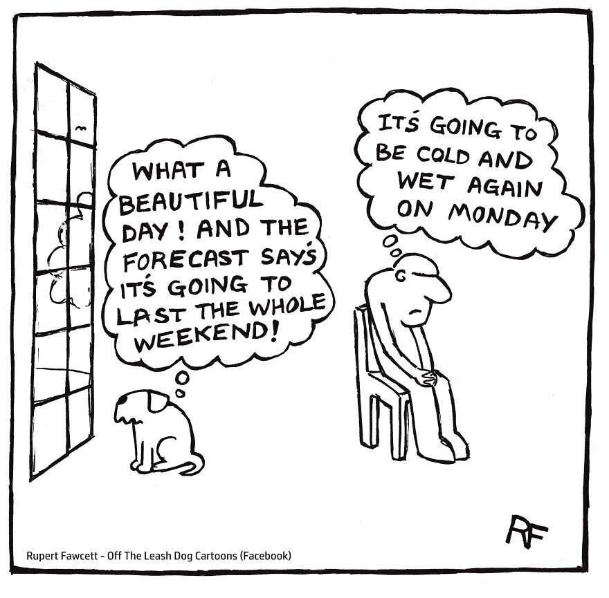This Artist Captures Silly Moments That Happen In A Dog Owner's Life