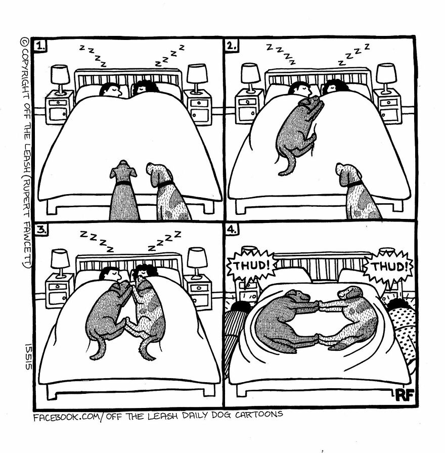 This Artist Captures Silly Moments That Happen In A Dog Owner's Life