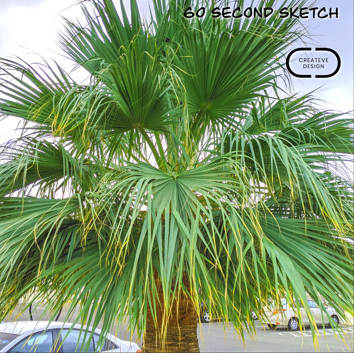 Where The Mundane Meets The Magical: Artist Transforms The Everyday Into The Extraordinary Where The Mundane Meets The Magical: Artist Transforms The Everyday Into The Extraordinary