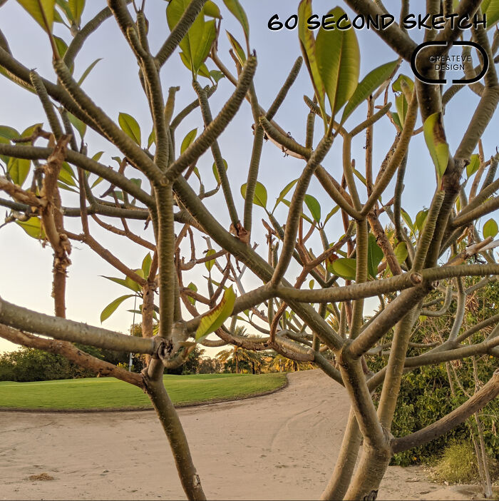 Where The Mundane Meets The Magical: Artist Transforms The Everyday Into The Extraordinary Where The Mundane Meets The Magical: Artist Transforms The Everyday Into The Extraordinary