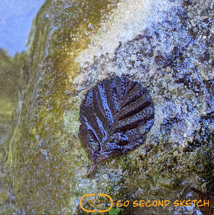 Where The Mundane Meets The Magical: Artist Transforms The Everyday Into The Extraordinary Where The Mundane Meets The Magical: Artist Transforms The Everyday Into The Extraordinary