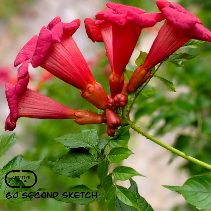 Where The Mundane Meets The Magical: Artist Transforms The Everyday Into The Extraordinary Where The Mundane Meets The Magical: Artist Transforms The Everyday Into The Extraordinary