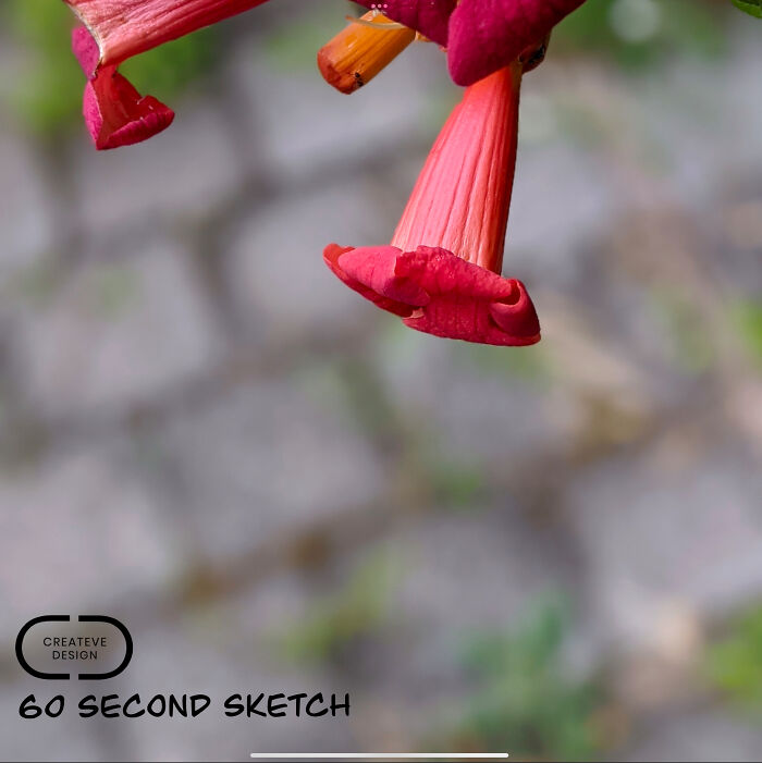 Where The Mundane Meets The Magical: Artist Transforms The Everyday Into The Extraordinary Where The Mundane Meets The Magical: Artist Transforms The Everyday Into The Extraordinary