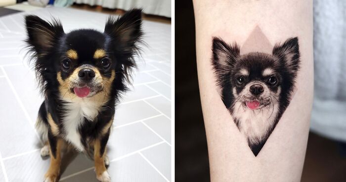 30 Astonishingly Realistic Pet Tattoos By Yeono