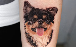 Pet Tattoo Magic: 40 Jaw-Dropping Lifelike Creations By Yeono