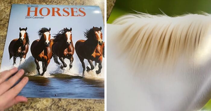 Woman Thinks She Bought A Simple Horse Calendar, Starts Noticing Odd Things Pop Up