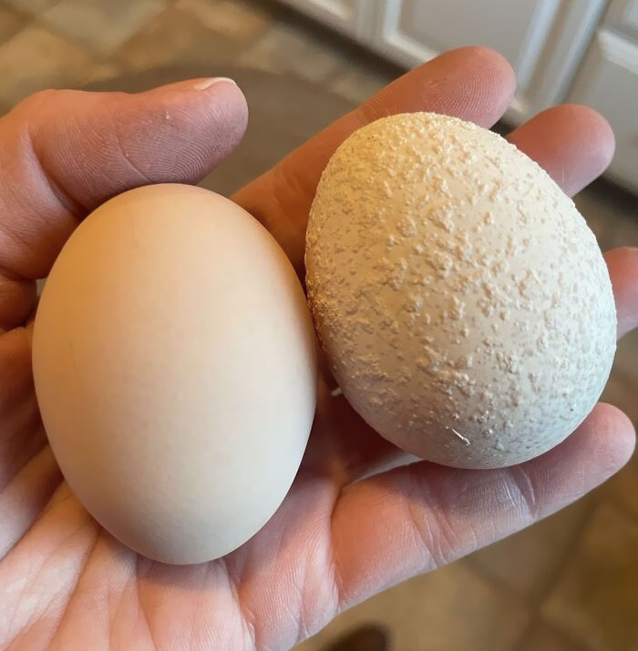 Huevo de una de nuestras gallinas que parece tener gotelé