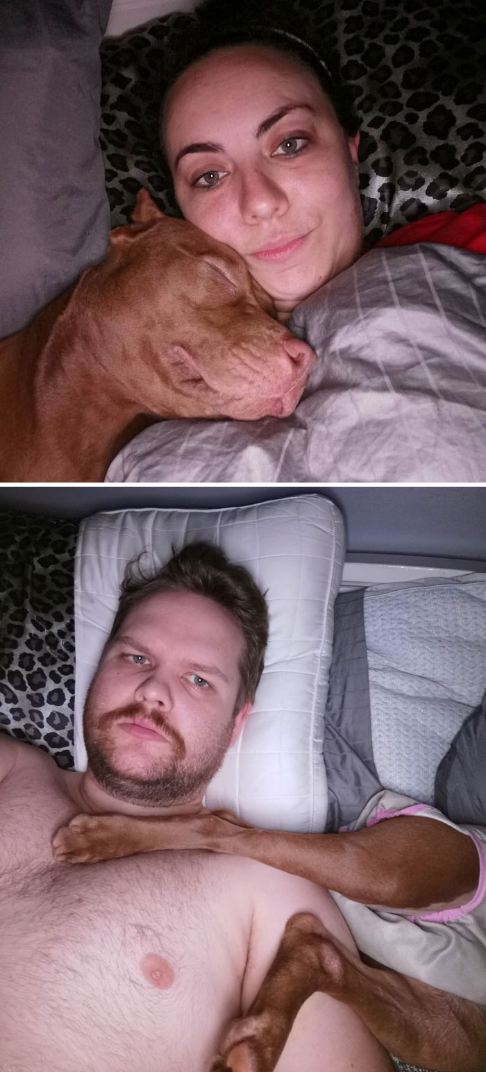 How My Girlfriend Gets To Sleep vs. How I Get To Sleep With The New Foster Dog