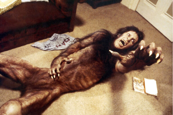 american-werewolf-65ab43c8cd266-png.jpg