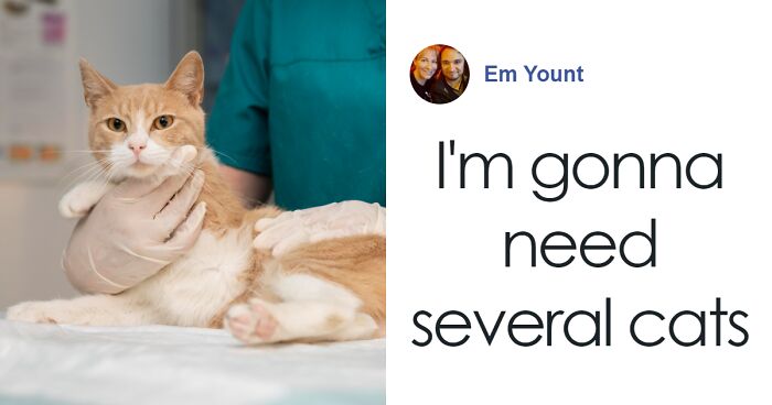 “Some Things Shouldn’t Breed”: Animal Shelter Promotes A Hilarious Valentine’s Day Campaign