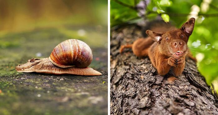 68 Imaginary Creatures That I Photoshopped By Fusing Two Existing Ones ...
