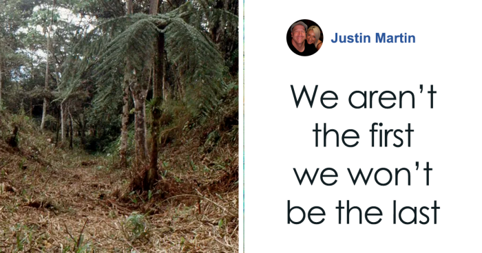 Discovery Of Lost Ancient City Could Totally Change How We Think About History