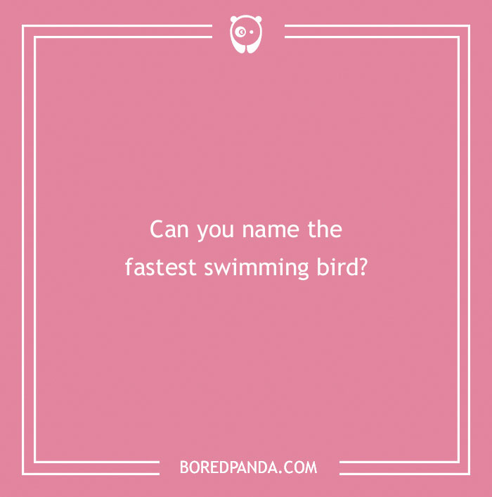 Answer These ‘Are You Smarter Than A 5th Grader’ Questions To See How Much You Remember From Elementary School