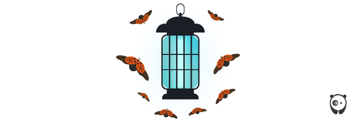 illustrated light trap with lady beetles 