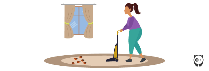 illustration of woman vacuuming 