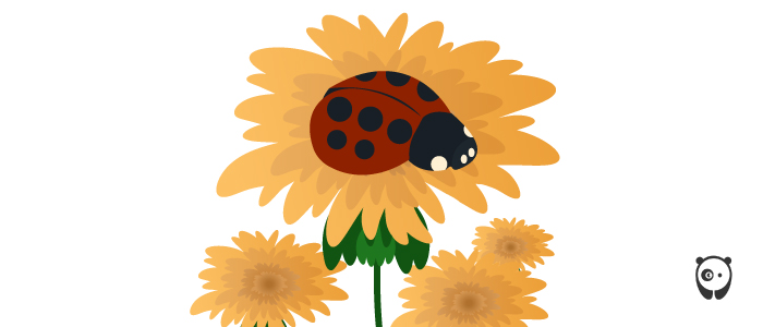Illustration of a ladybug on marigold 