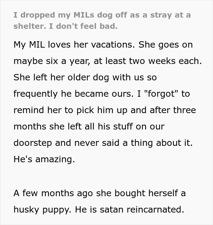 Woman Gives Her MIL’s “Satan Reincarnated” Dog To A Shelter As MIL Drops Him Off At Her Doorstep