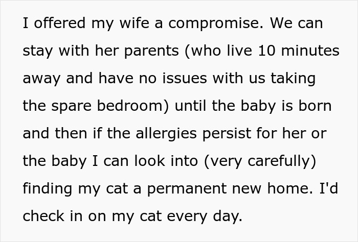 Man Disappoints Wife By Suggesting She Move Out To Avoid Moving His Senior Cat She’s Allergic To Man Disappoints Wife By Suggesting She Move Out To Avoid Moving His Senior Cat She’s Allergic To