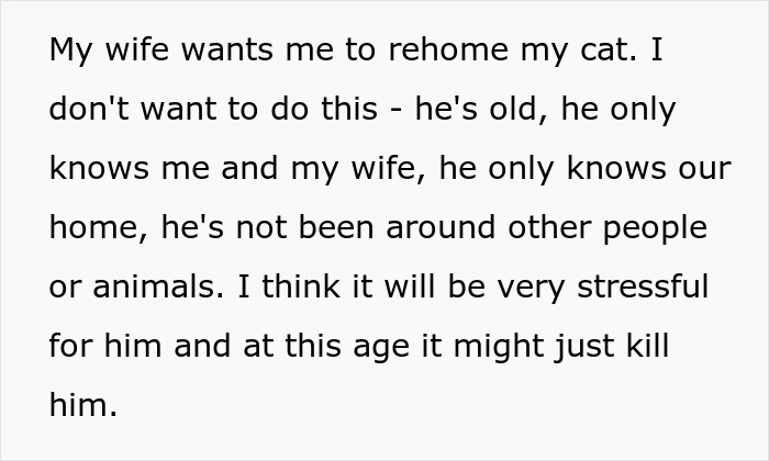 Man Disappoints Wife By Suggesting She Move Out To Avoid Moving His Senior Cat She’s Allergic To Man Disappoints Wife By Suggesting She Move Out To Avoid Moving His Senior Cat She’s Allergic To