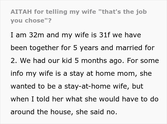 Man Tells Wife Not To Complain About Her Stay-At-Home Mom Responsibilities As She Wanted That