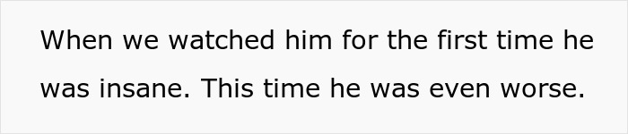 “I Dropped My MIL’s Dog Off As A Stray At A Shelter, And I Don’t Feel Bad” “I Dropped My MIL’s Dog Off As A Stray At A Shelter, And I Don’t Feel Bad”