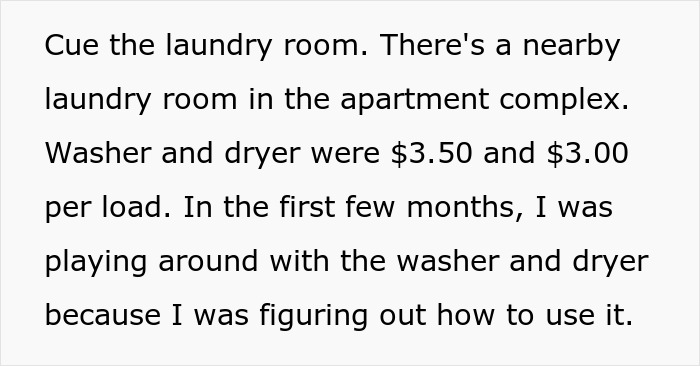 "I Did All That For 7 Months": Tenant Does Laundry For Free To Get Back At Jerk Landlord