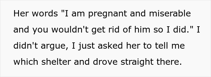 Man Disappoints Wife By Suggesting She Move Out To Avoid Moving His Senior Cat She’s Allergic To Man Disappoints Wife By Suggesting She Move Out To Avoid Moving His Senior Cat She’s Allergic To