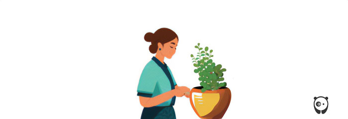 Illustration of a women taking care of Bacopa plant.