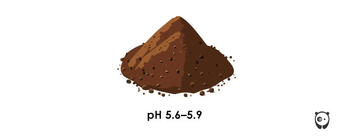 Illustration of soil pH.