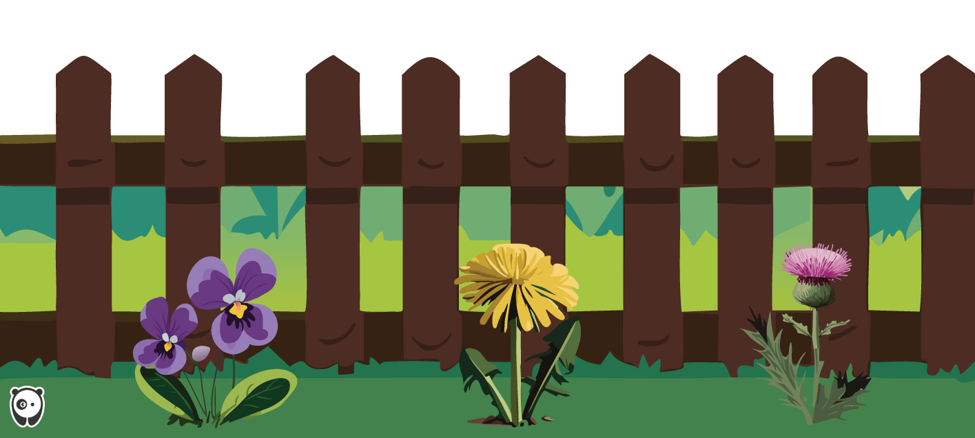 Various common types of weeds in gardens growing near a wooden fence with green grass background. Various common types of weeds in gardens growing near a wooden fence with green grass background.