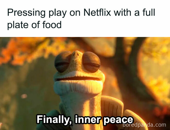 Funny-Animal-Memes-Posts