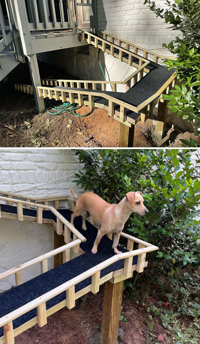 Are Dog Ramps Acceptable?! My Friend’s Dog, Buddy, Doesn’t Do Stairs Well. So They Asked Me To Build Him A Ramp. Voilà!