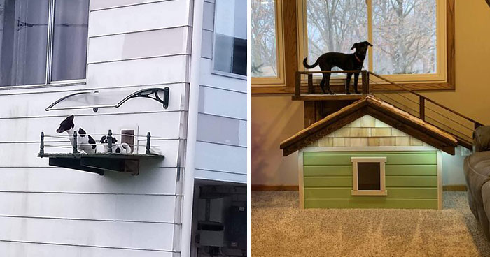 38 Times Dogs Deserved Only The Best Dog Houses And People Accepted The Challenge