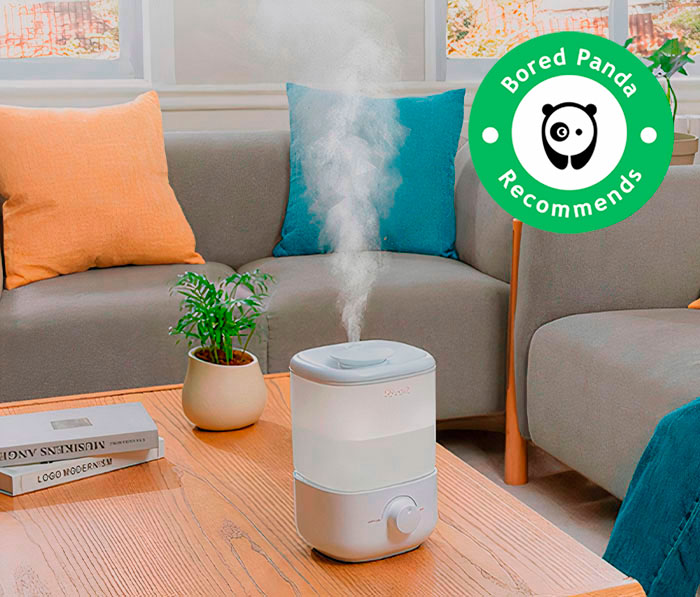 Best Humidifier In 2024 Ranked By People’s Reviews Bored Panda