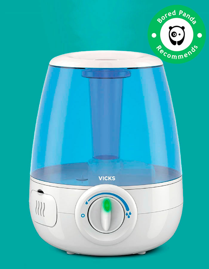 Best Humidifiers 2024 - Forbes Vetted